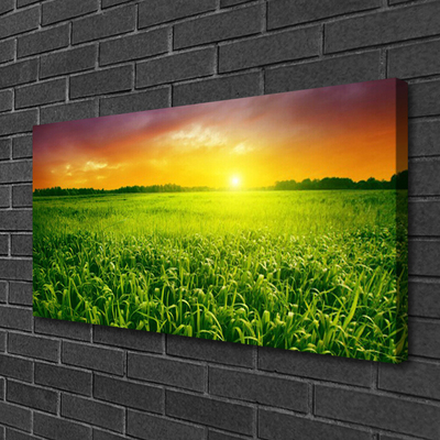 Quadro canvas Nascer do sol no campo de grãos