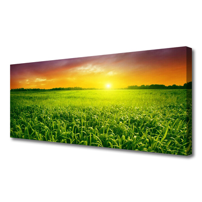 Quadro canvas Nascer do sol no campo de grãos