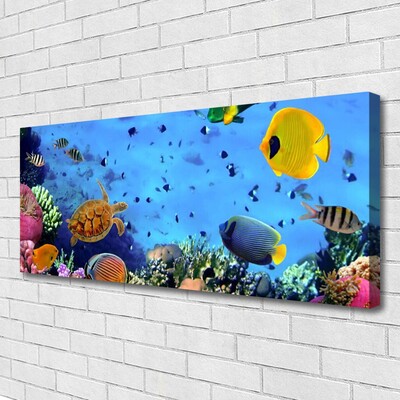 Quadro em tela Natureza dos peixes dos recifes de coral
