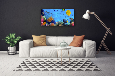 Quadro em tela Natureza dos peixes dos recifes de coral