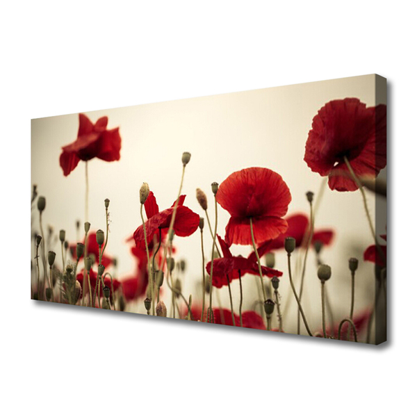Quadro em tela Flores de papoulas