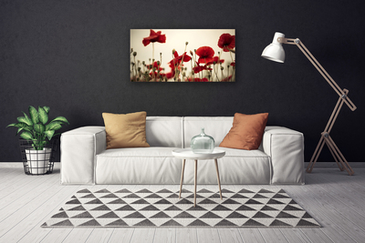 Quadro em tela Flores de papoulas