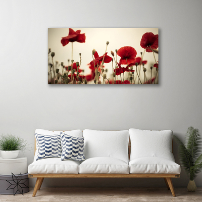 Quadro em tela Flores de papoulas