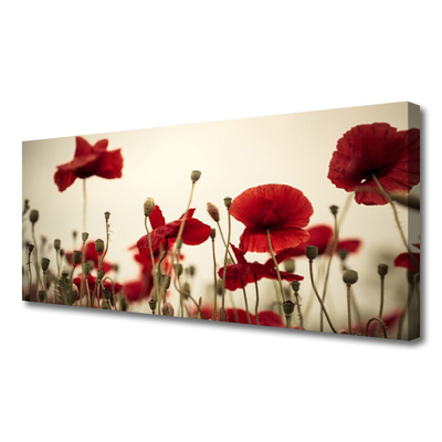 Quadro em tela Flores de papoulas