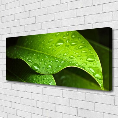 Quadro canvas Gotas de Orvalho Folha