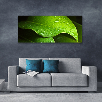 Quadro canvas Gotas de Orvalho Folha
