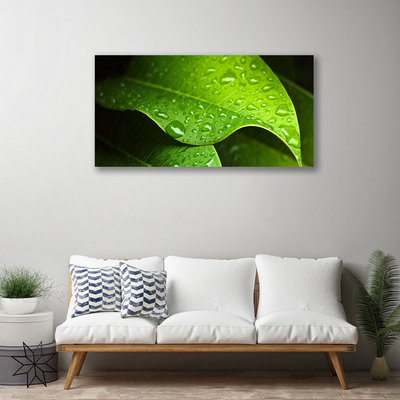 Quadro canvas Gotas de Orvalho Folha