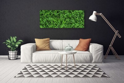 Quadro canvas Gramado