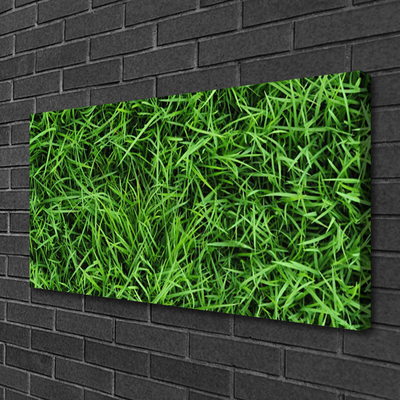 Quadro canvas Gramado
