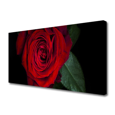 Quadro em tela Rosa na Parede