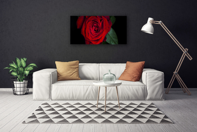 Quadro em tela Rosa na Parede