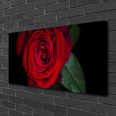 Quadro em tela Rosa na Parede