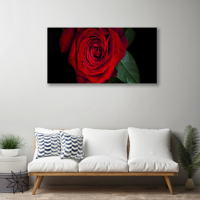 Quadro em tela Rosa na Parede