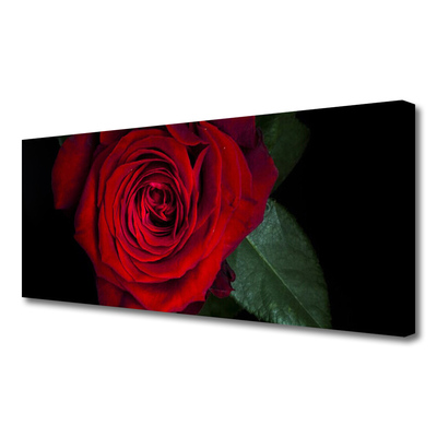 Quadro em tela Rosa na Parede
