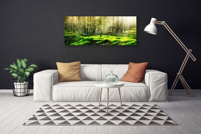 Quadro canvas Natureza da Floresta de Musgos