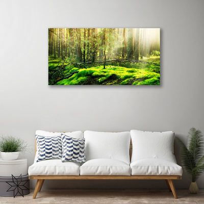 Quadro canvas Natureza da Floresta de Musgos