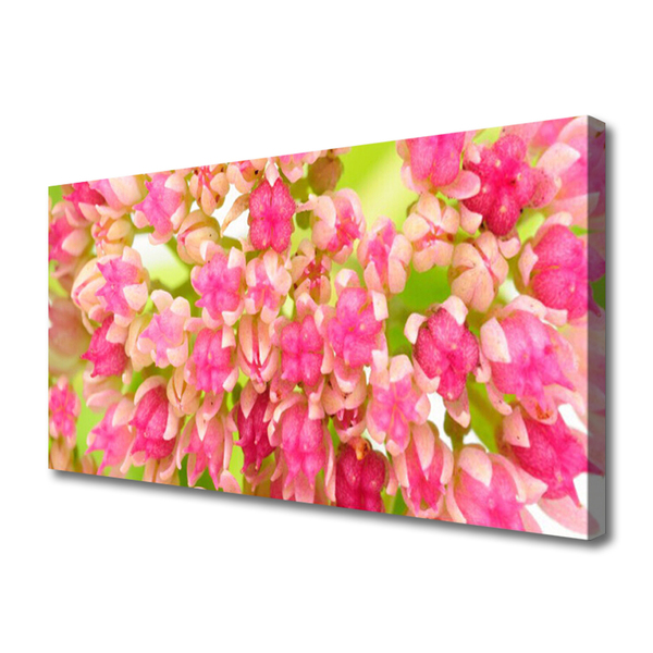 Quadro canvas Flor de lótus