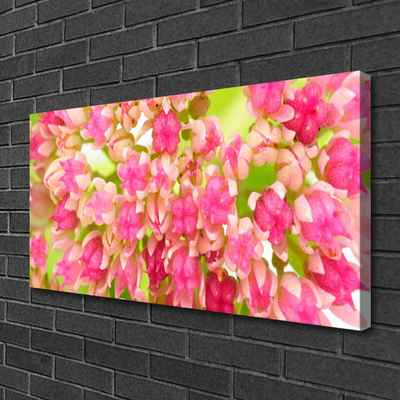 Quadro canvas Flor de lótus
