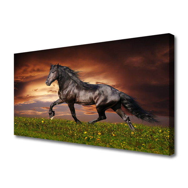Quadro em tela Animais do Prado do Cavalo Preto