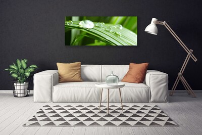 Quadro canvas Gotas de orvalho das folhas
