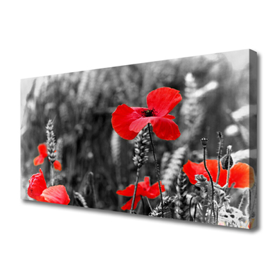 Quadro em tela Papoulas na Parede