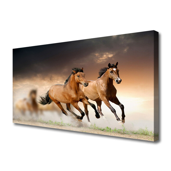 Quadro canvas Cavalos Animais