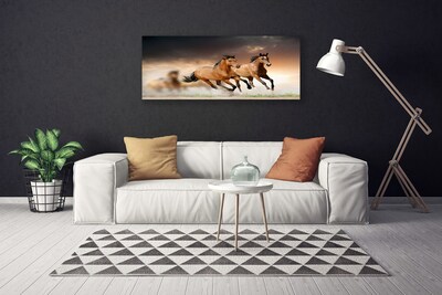 Quadro canvas Cavalos Animais