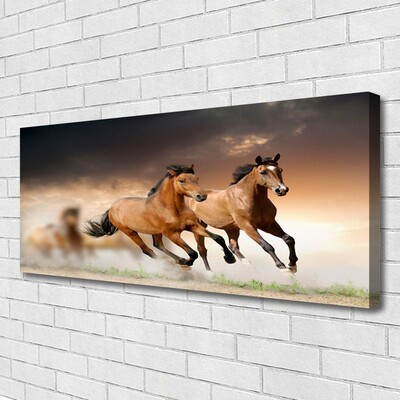 Quadro canvas Cavalos Animais