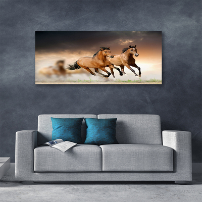 Quadro canvas Cavalos Animais