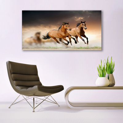 Quadro canvas Cavalos Animais