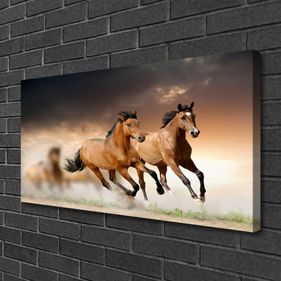 Quadro canvas Cavalos Animais