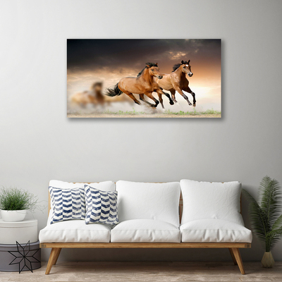 Quadro canvas Cavalos Animais