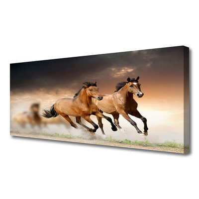 Quadro canvas Cavalos Animais