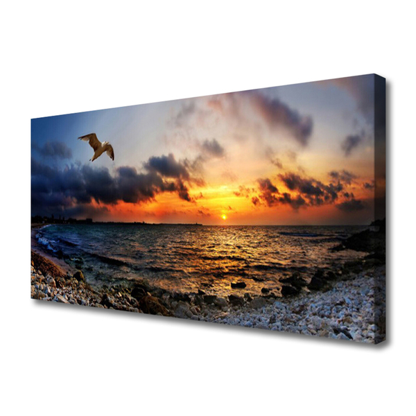 Quadro em tela Paisagem de praia de mar de gaivota