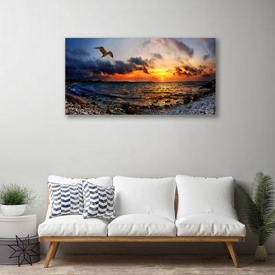 Quadro em tela Paisagem de praia de mar de gaivota