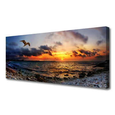 Quadro em tela Paisagem de praia de mar de gaivota