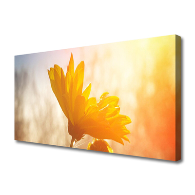 Quadro canvas Girassol