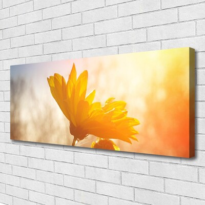 Quadro canvas Girassol