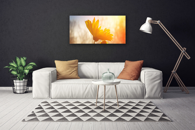 Quadro canvas Girassol