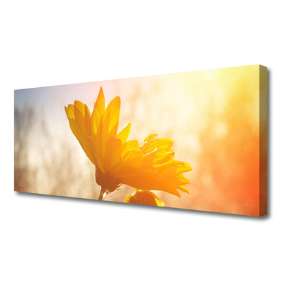 Quadro canvas Girassol