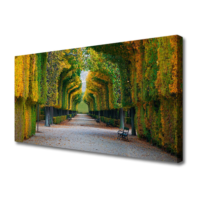 Quadro em tela Parque Outono Jardim Natureza