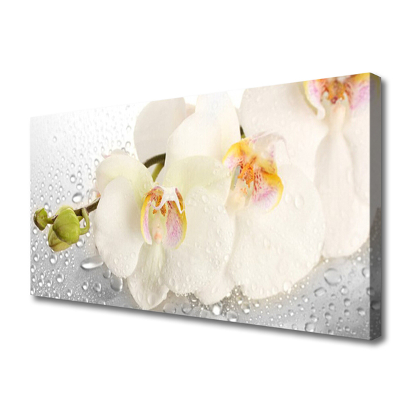 Quadro em tela Flores na Parede