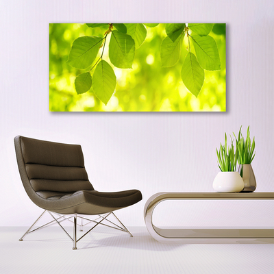 Quadro em tela Folhas na Parede