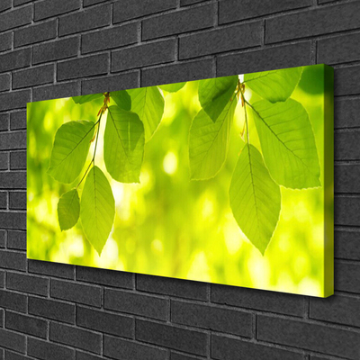 Quadro em tela Folhas na Parede