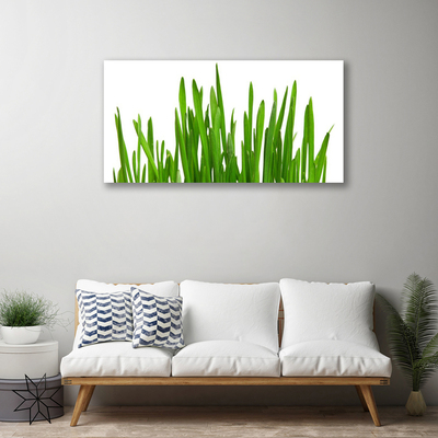 Quadro em tela Grama na Parede