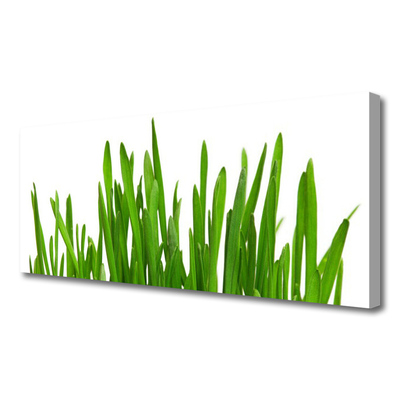 Quadro em tela Grama na Parede