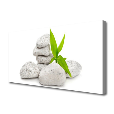 Quadro em tela Pedras da Natureza