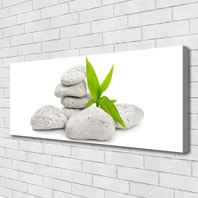 Quadro em tela Pedras da Natureza