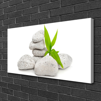 Quadro em tela Pedras da Natureza