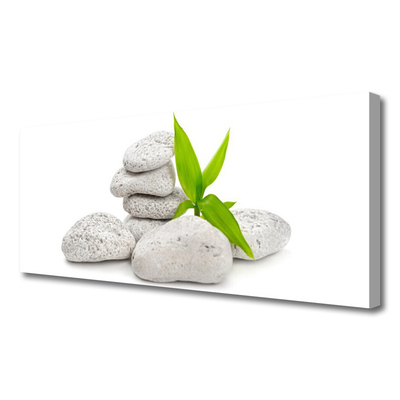 Quadro em tela Pedras da Natureza